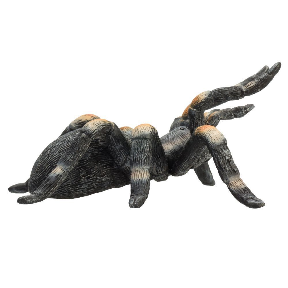 Animal Planet - Mojo Red Kneed Tarantula