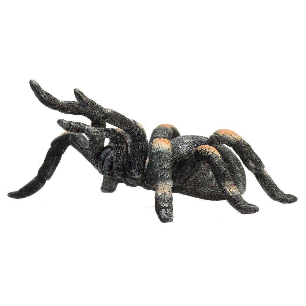 Animal Planet - Mojo Red Kneed Tarantula