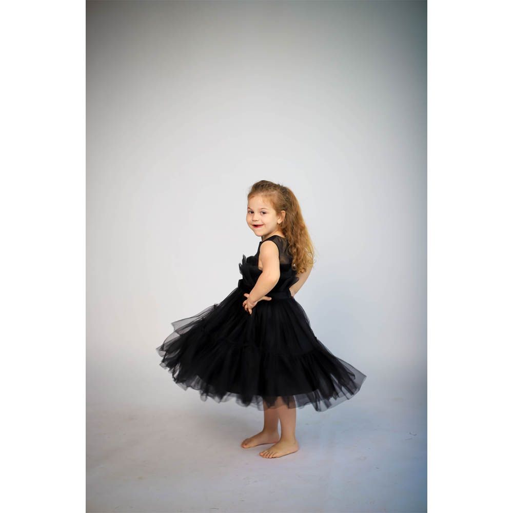 Ddaniela - Toddler Girls Bow Front Ruffle Mesh Dress - Black