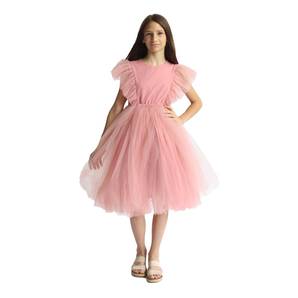 Ddaniela - Natalya Net Flared Dress - Pink