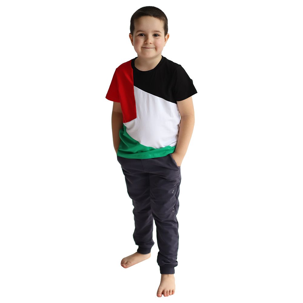 D' Daniela - Palestine Flag Tshirt