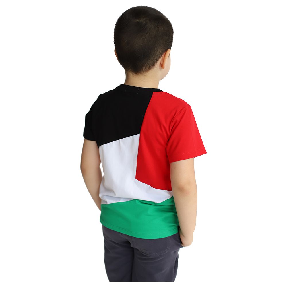 D' Daniela - Palestine Flag Tshirt