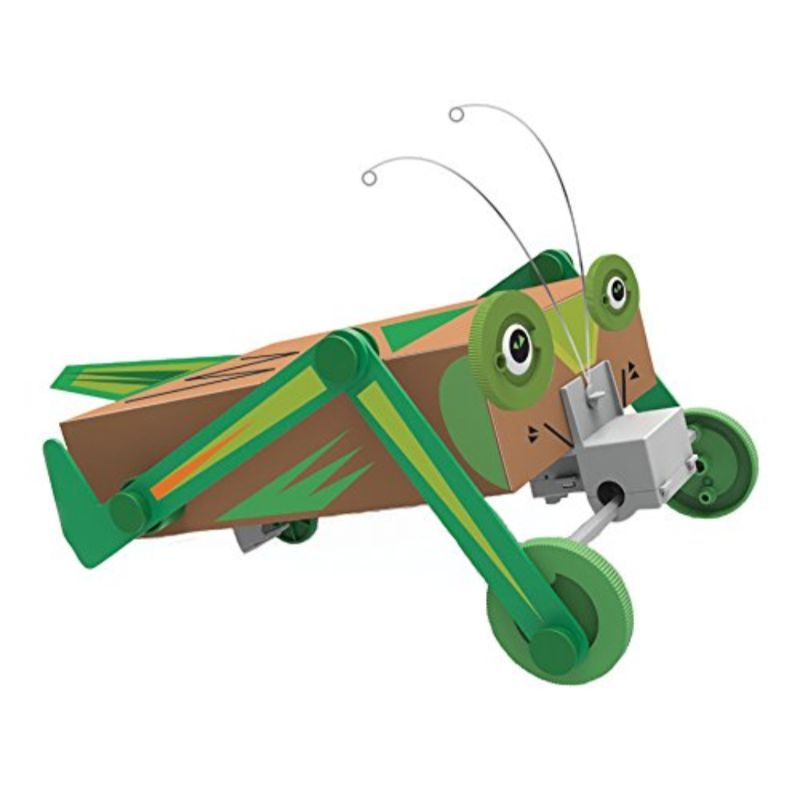 4M Green Science Box Bug