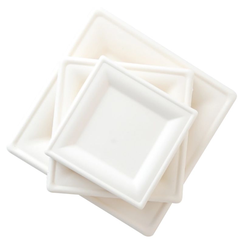 Ecoway - Biodegradable Paper Plates - 10-Inch - 100pcs