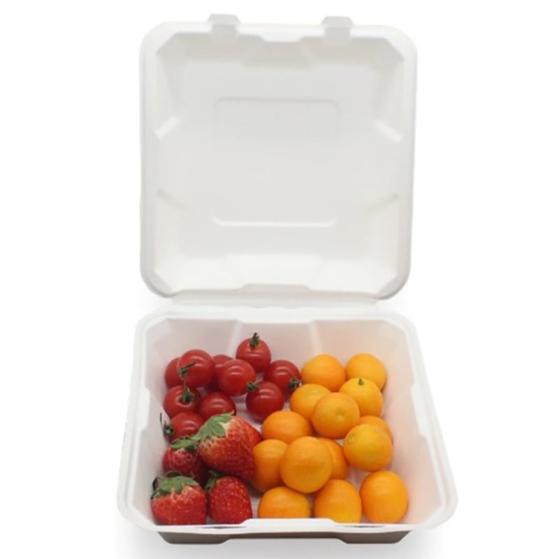 Ecoway - 100% Compostable Take Out Food Containers - 6 X 6 cm - 100pcs