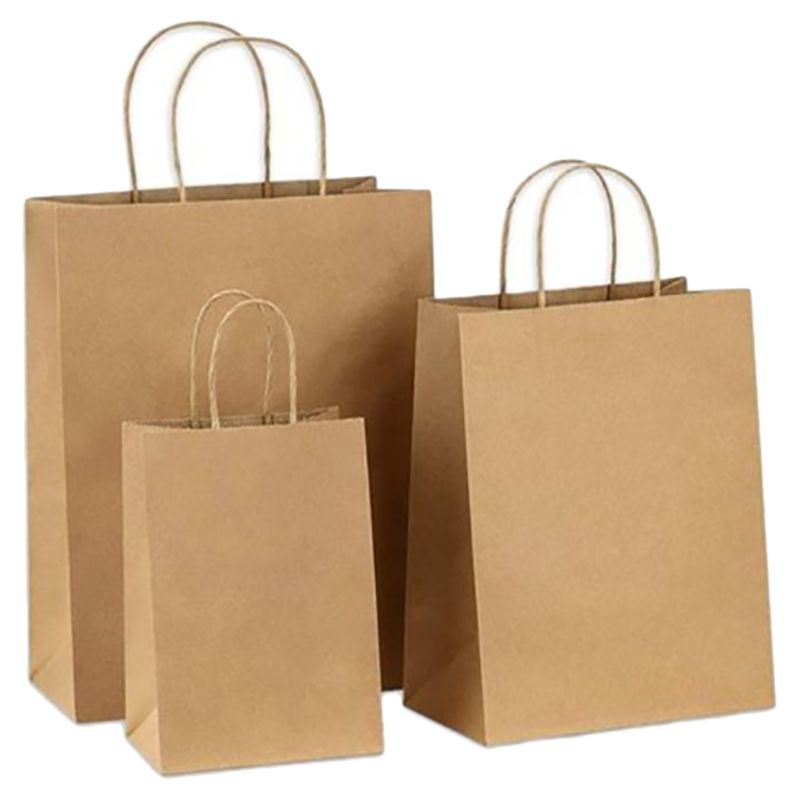 Ecoway - Paper Gift Bags w/ Handles Bulk - Xl - 100pcs - White