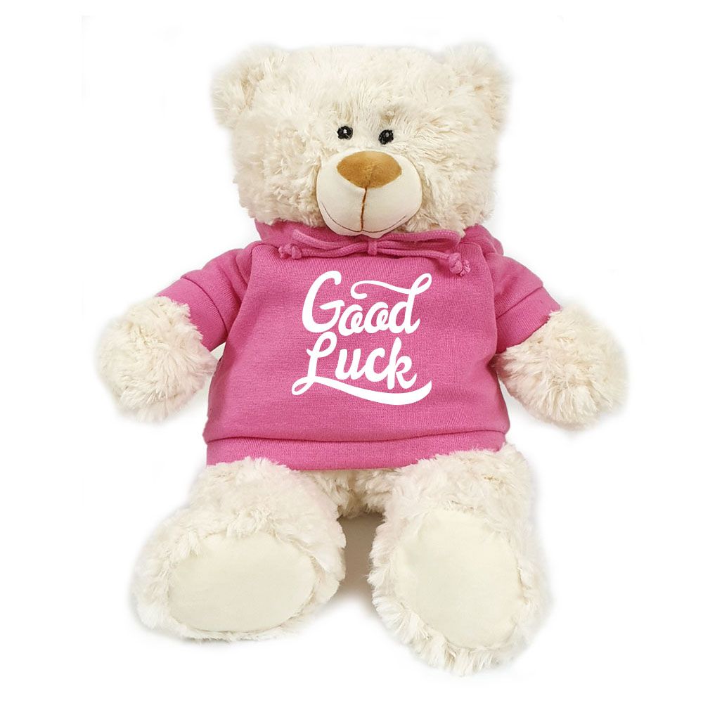 Fay Lawson - Bear in Good Luck Print Pink Hoodie - 38cm