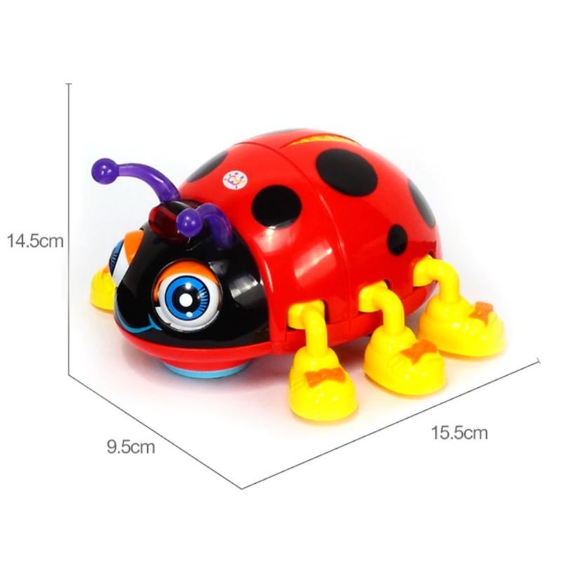 Hola - Baby Toys Activity Toy for 2+ y