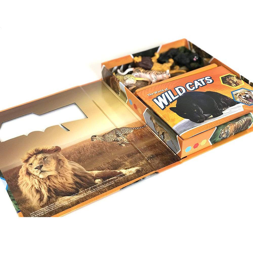 Wildcats Pocket Explorers