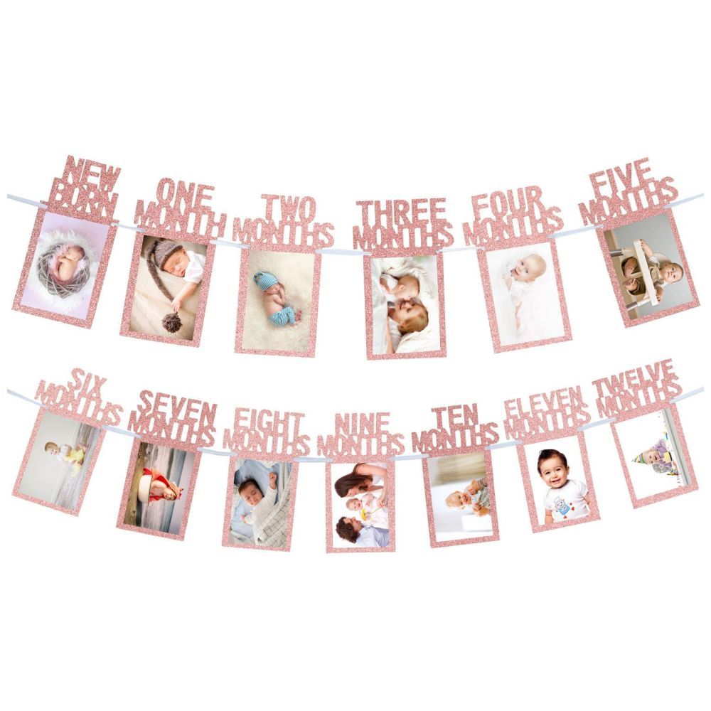 Highland - New Born - 12 Months Photo Banner for First Birthday Decoration - Rose Gold