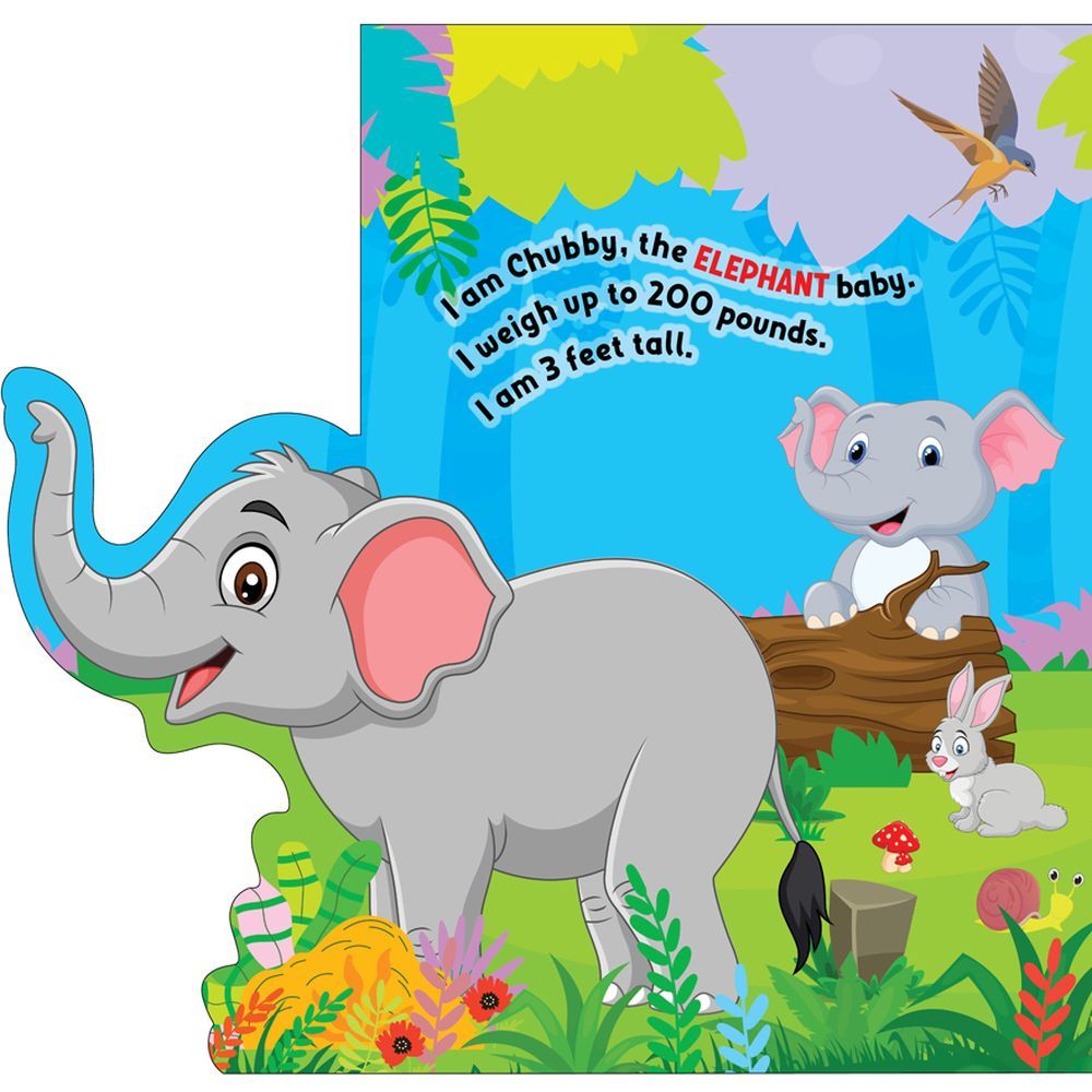 Flap Book - In The Jungle