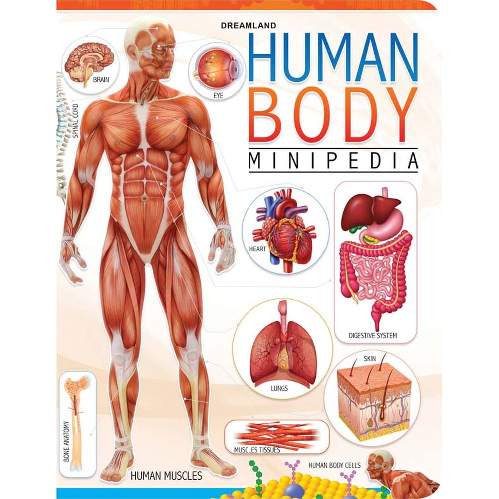 Human Body Minipedia