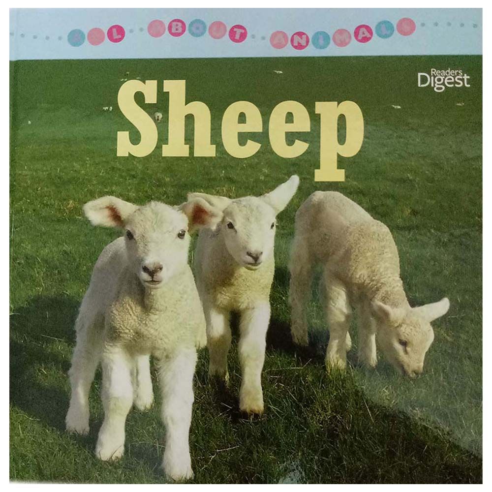 كتاب All About Animals - Sheep