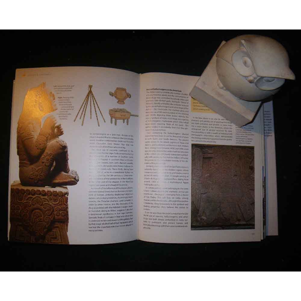 كتاب The Seventy Great Inventions of the Ancient World