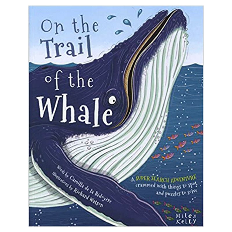 On The Trail Of The Whale - Paperback