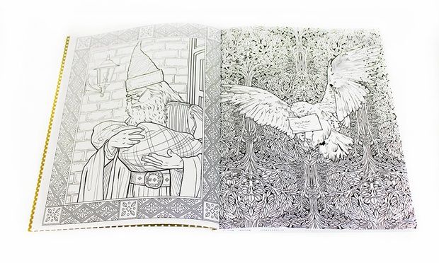 Bonnier Publishing - Harry Potter Colouring Book