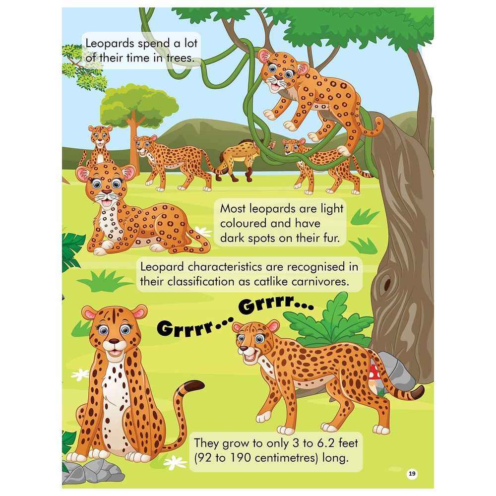 Explore The Jungle Activity Book With Sticker