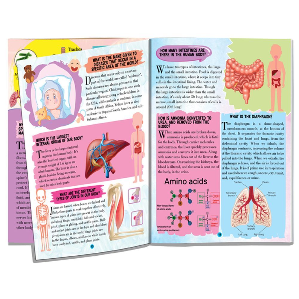 All About Human Body Encyclopedia