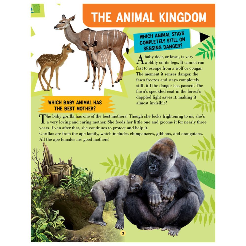 موسوعة All About Animal World Encyclopedia