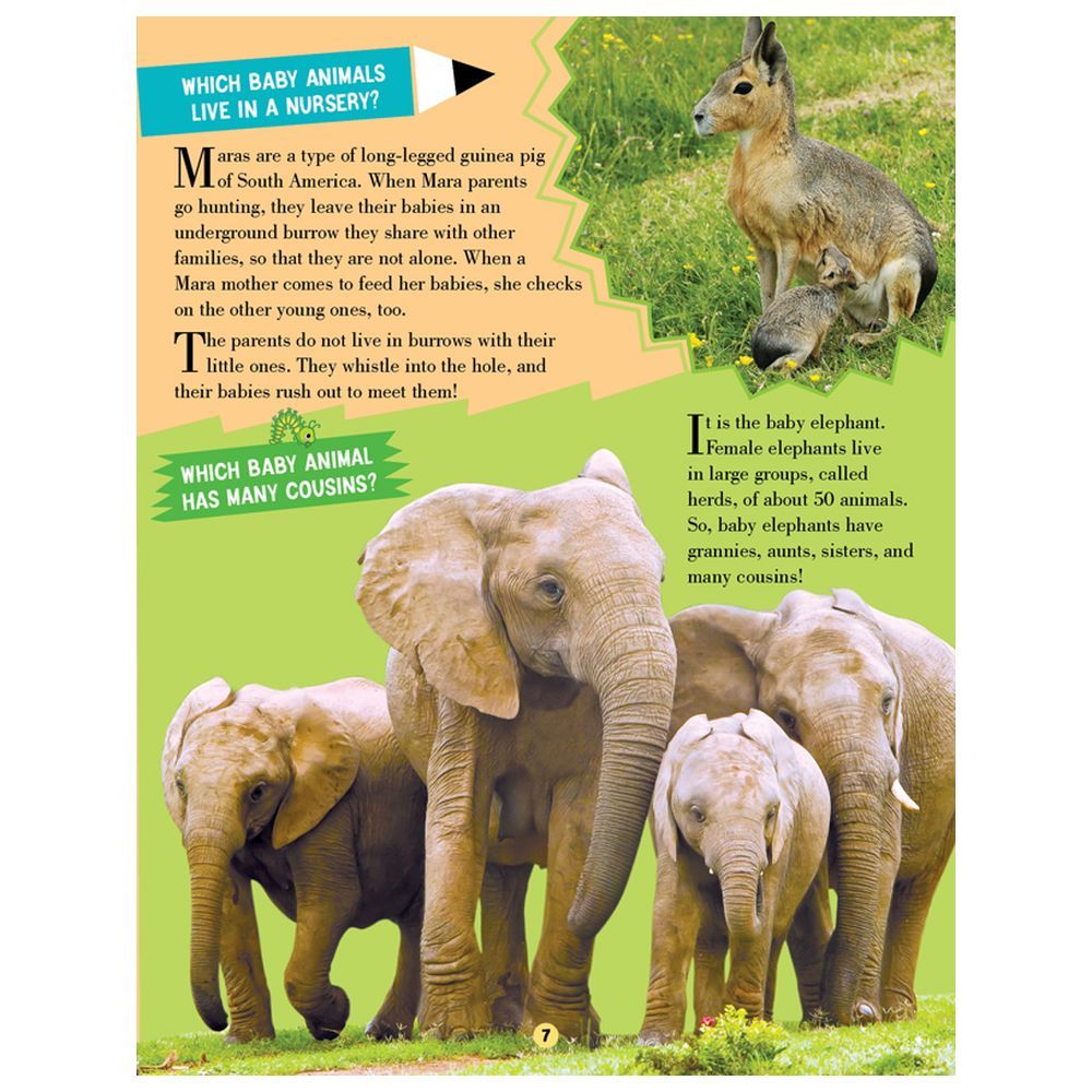 موسوعة All About Animal World Encyclopedia