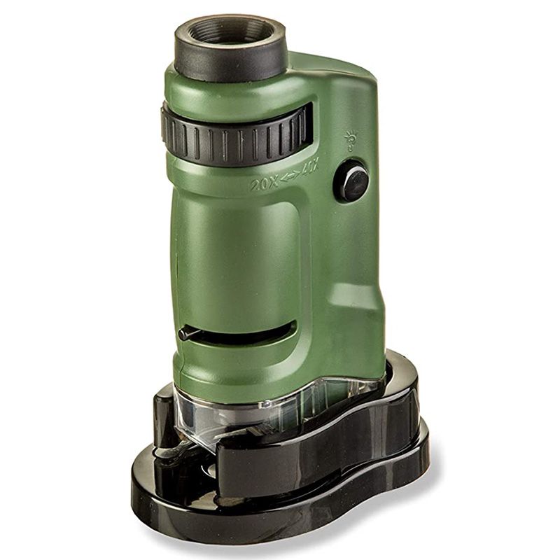 Carson - BigEye Magnifiers W/ 5-inch Lens - Green