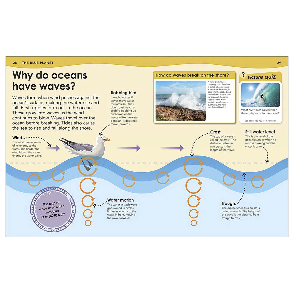 كتاب How Deep Is The Ocean?