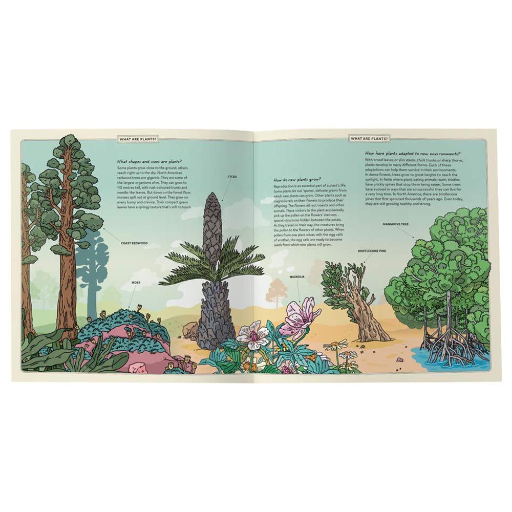 كتاب Plants