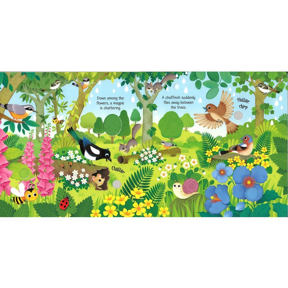 Usborne Books - Bird Sounds