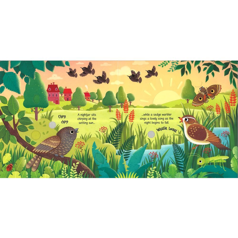 Usborne Books - Bird Sounds