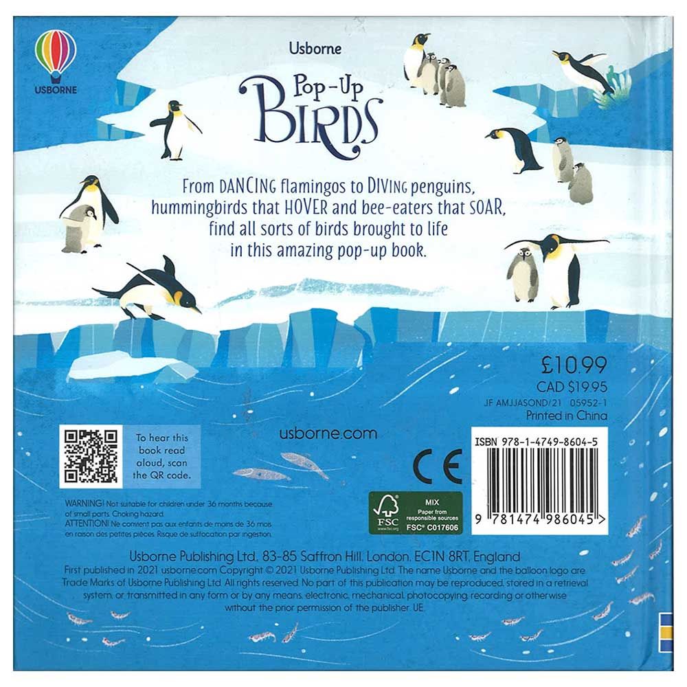 Usborne Books - Pop-Up Birds