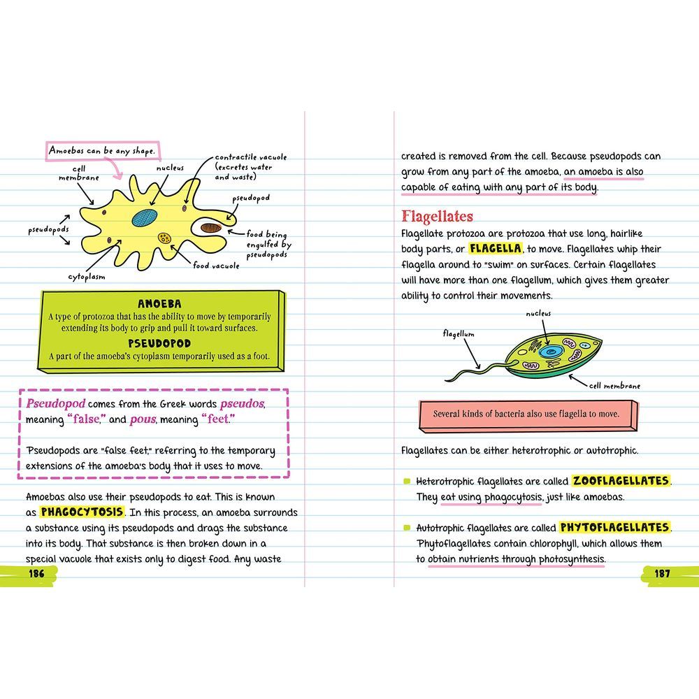 كتاب Everything You Need To Ace Biology