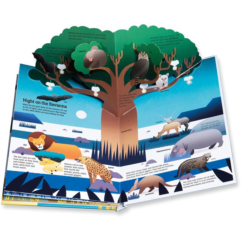 كتاب Ultimate Spotlight: Savanna Animals