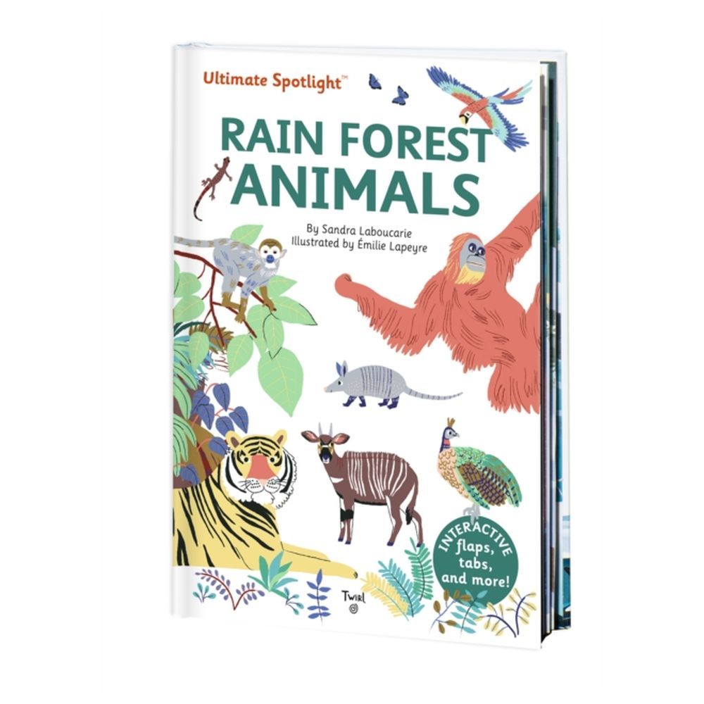 كتاب Ultimate Spotlight: Rain Forest Animals