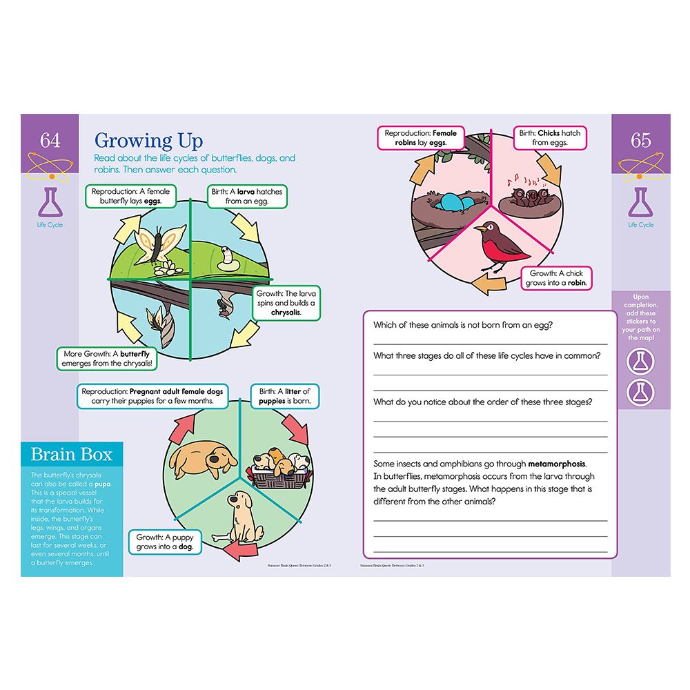 Summer Brain Quest Between Grades 2 & 3