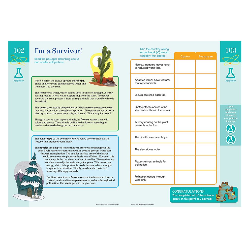 كتاب Summer Brain Quest Between Grades 4 5