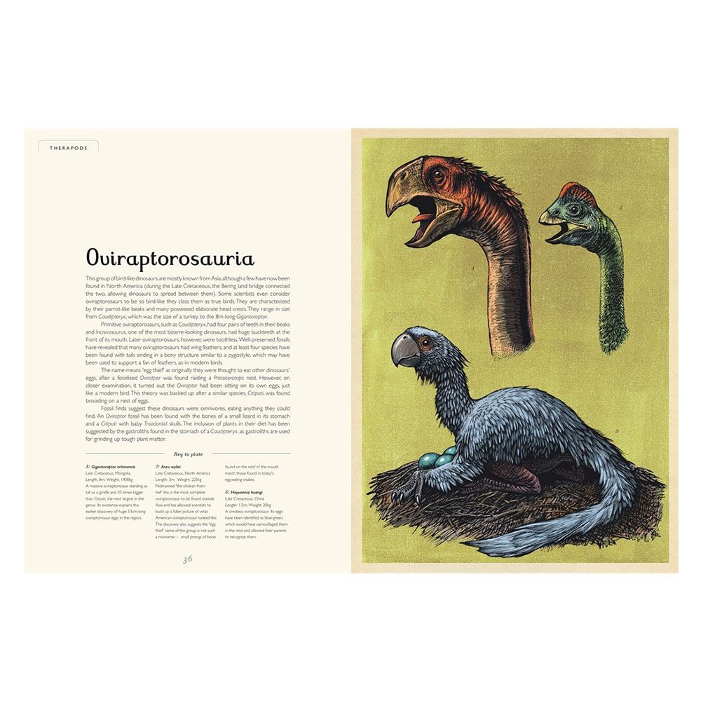 كتاب Dinosaurium