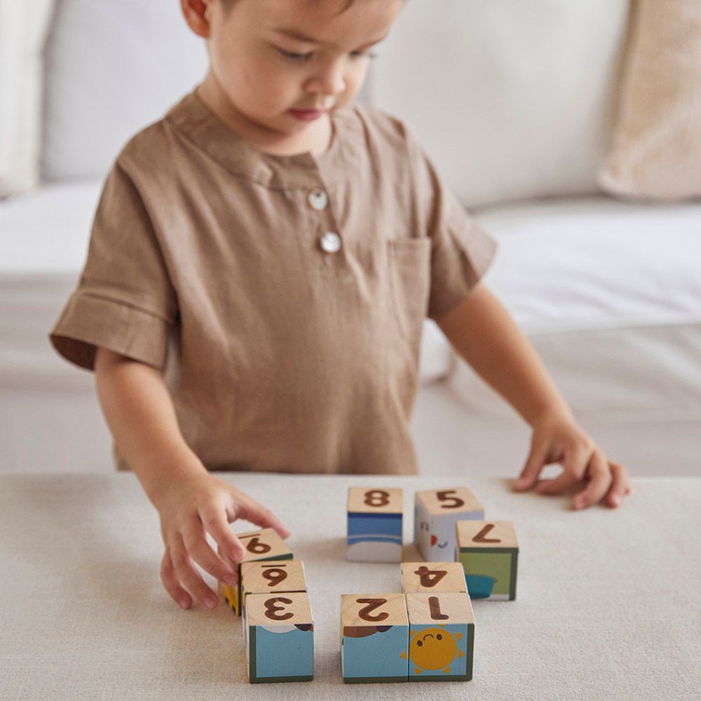 Plan Toys - Animal Puzzle Cubes