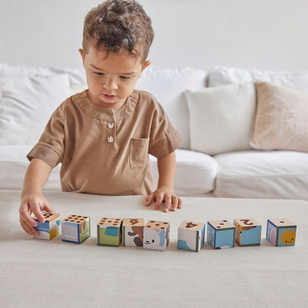 Plan Toys - Animal Puzzle Cubes