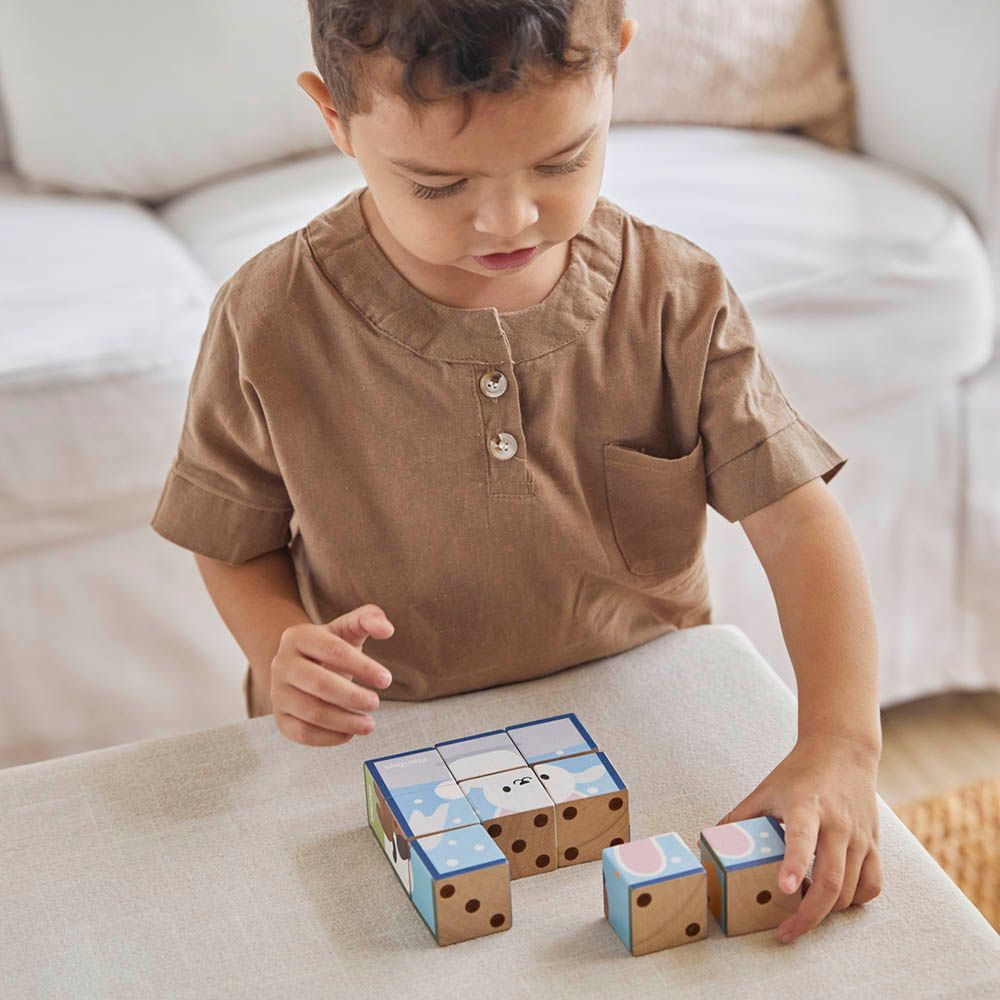 Plan Toys - Animal Puzzle Cubes