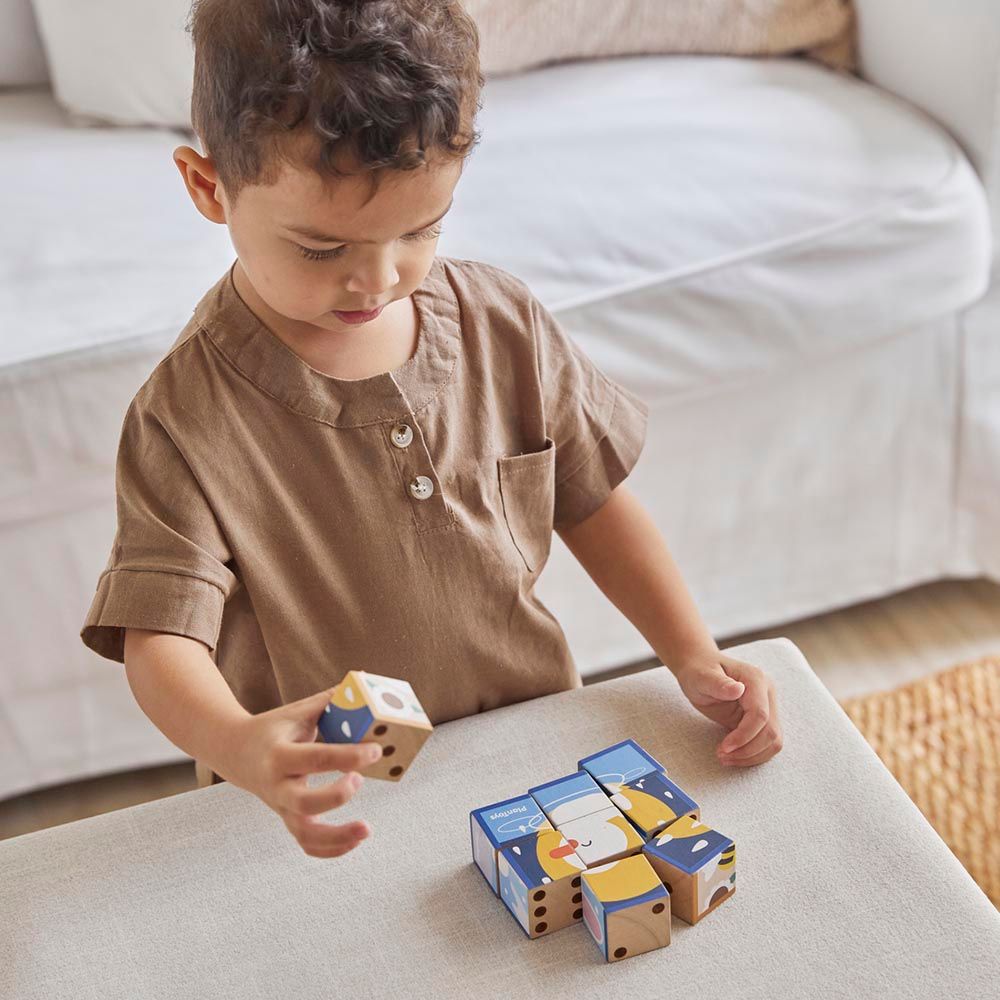 Plan Toys - Animal Puzzle Cubes