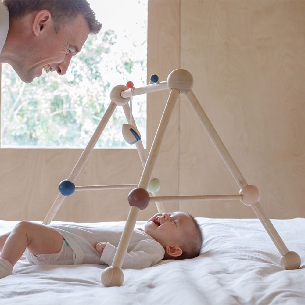 Plan Toys - Wooden Play Gym - Orchard