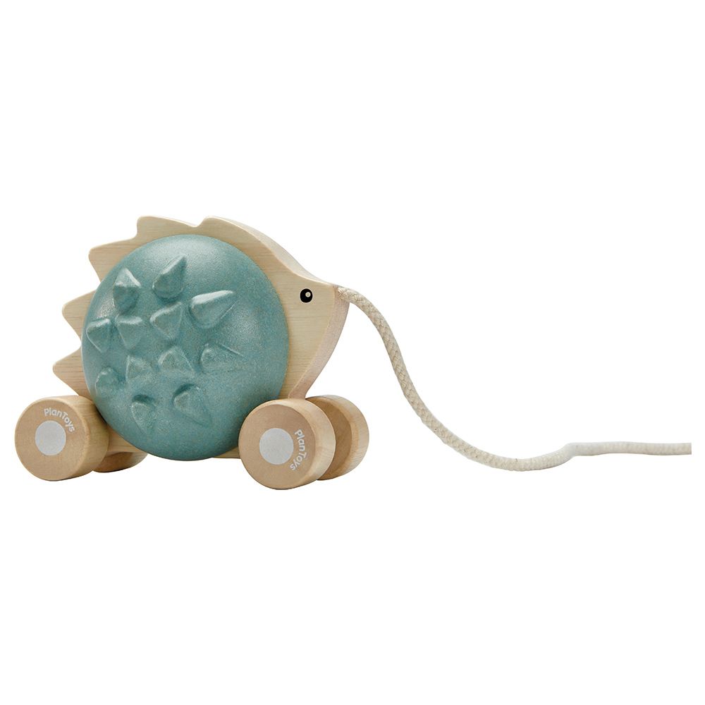 Plan Toys - Pull-Along Hedgehog - Blue