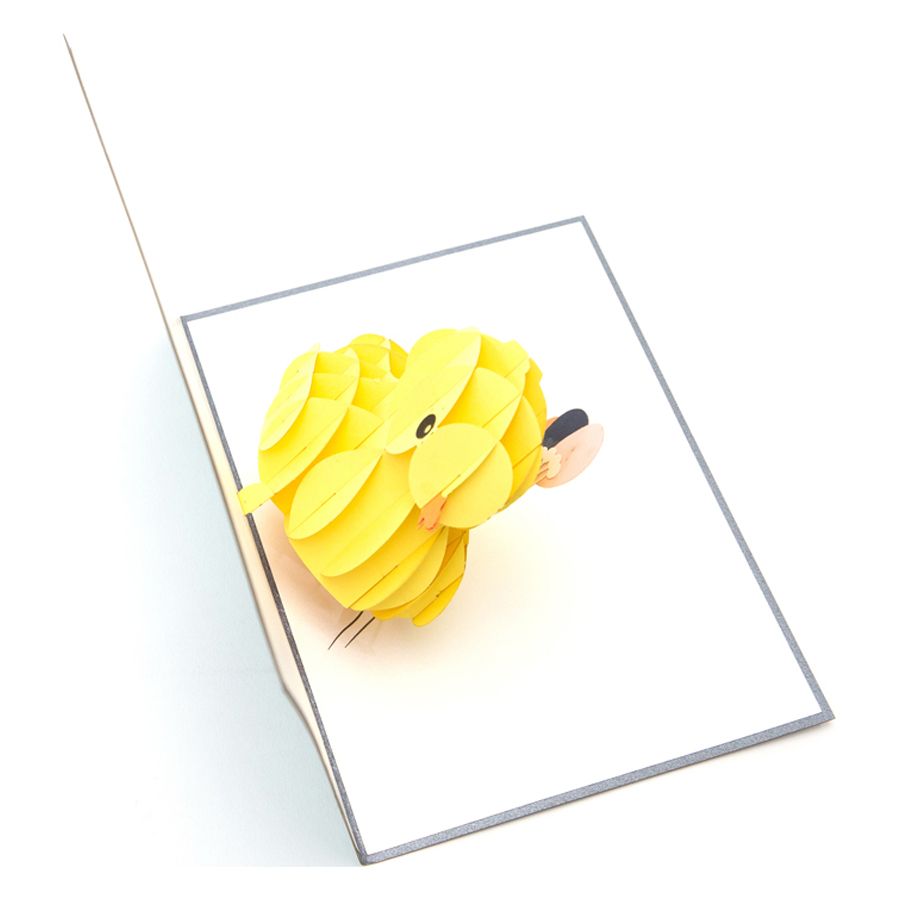 Abra Cards - Duck with Balloons