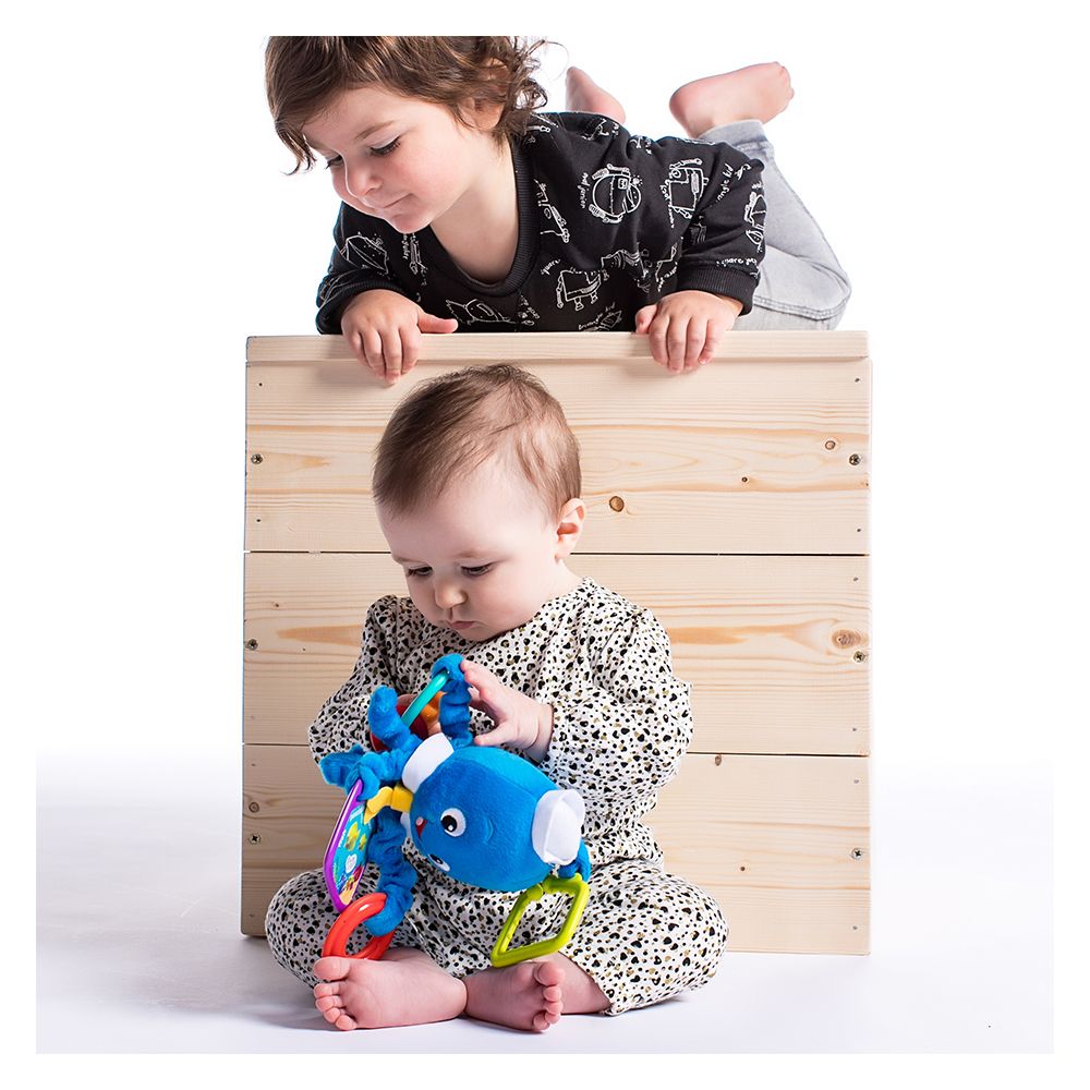 Baby Einstein - Core Activity Arms Octopus