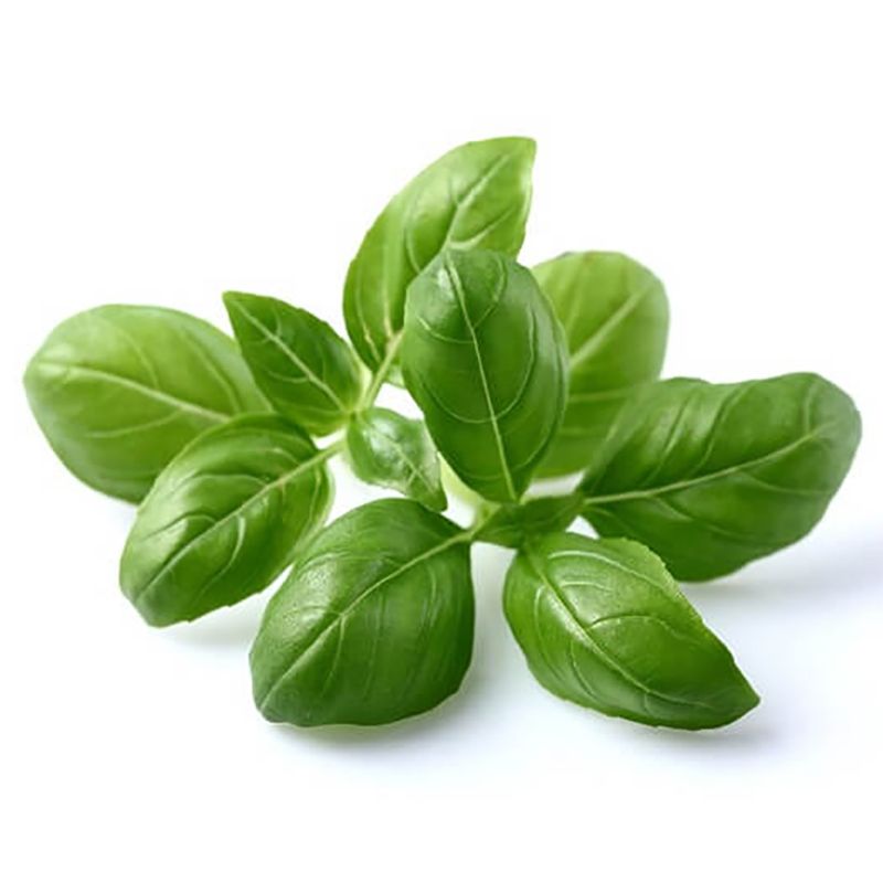 Click & Grow - Seeds - Basil