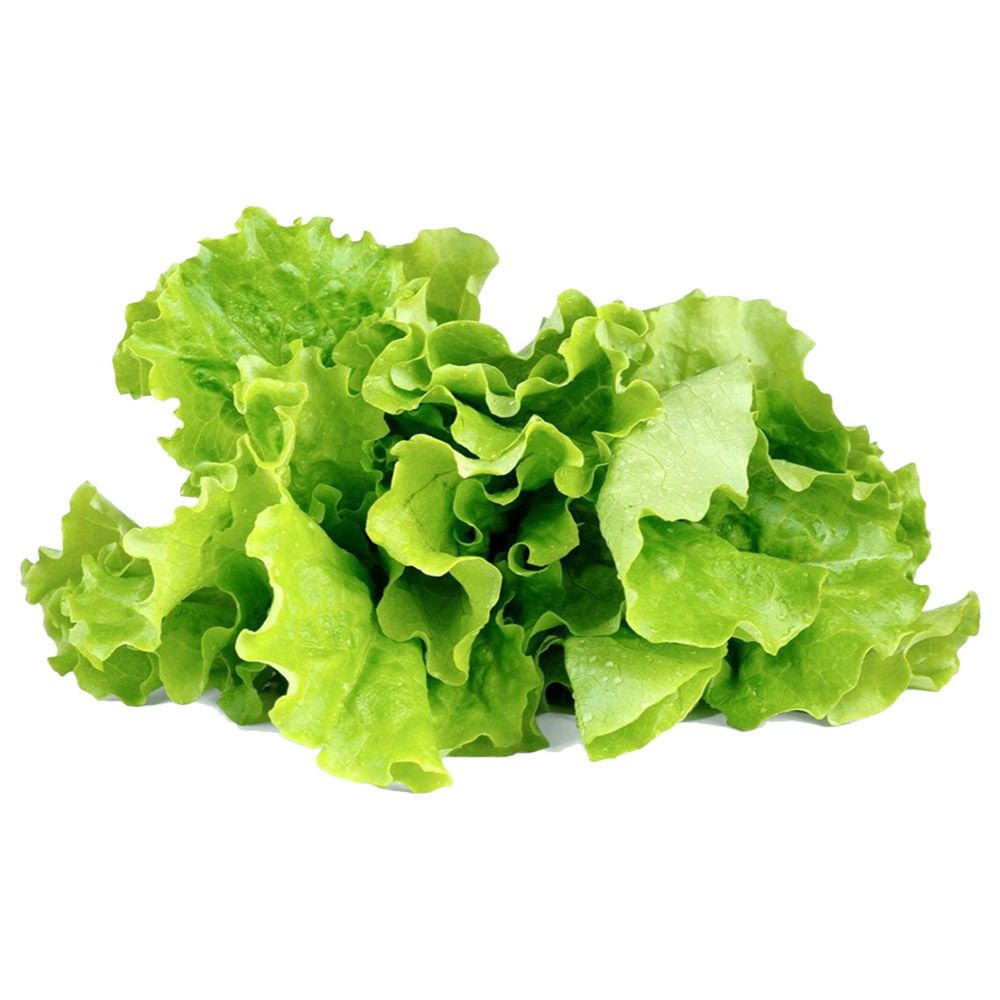 Click & Grow - Seeds - Green Lettuce