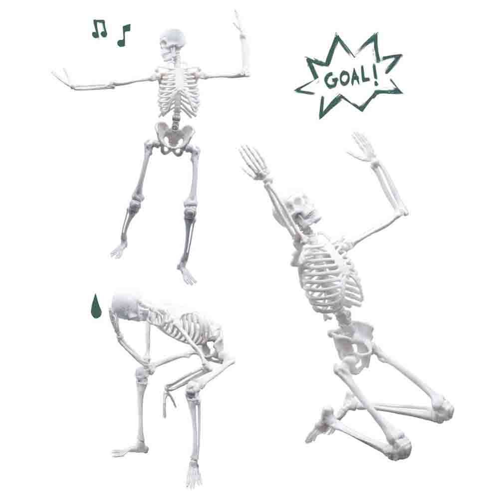 Buki France - Skeleton - 45 Cm