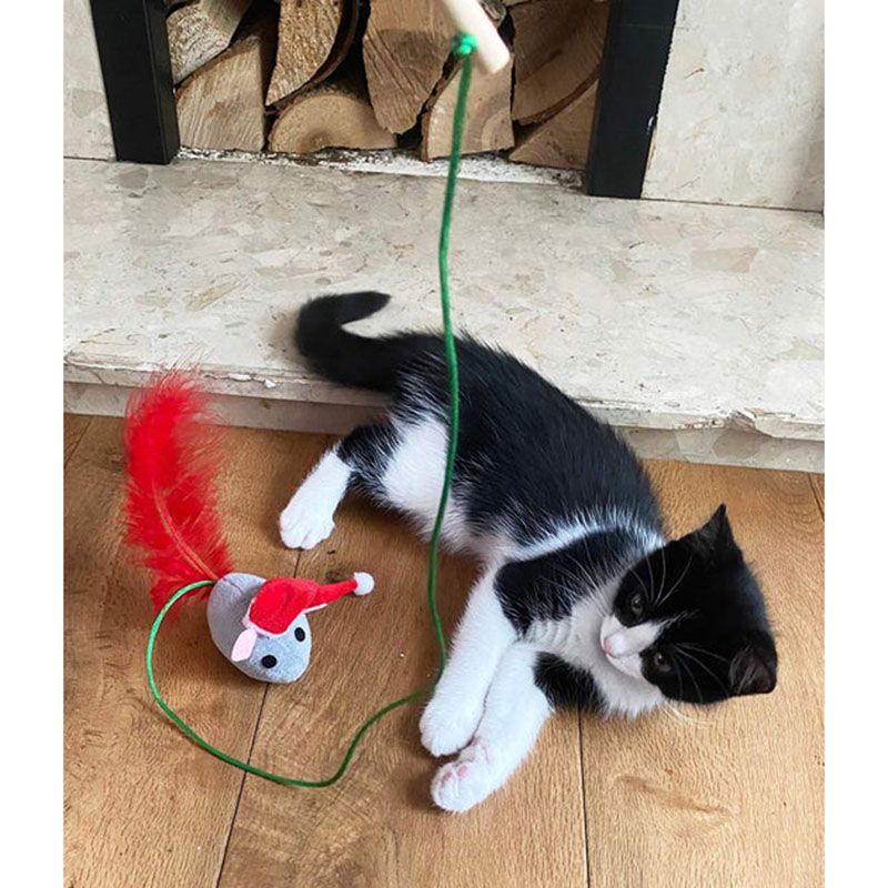 Talking Tables - Botanical Christmas Cat Toy