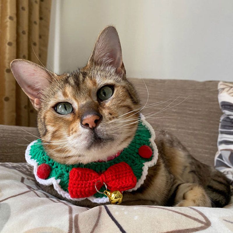 Talking Tables - Botanical Pet Crochet Cat Collar