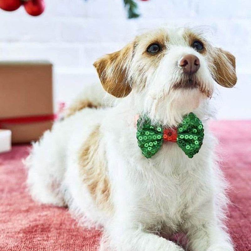 Talking Tables - Christmas Entertainment Pooch Bow Tie